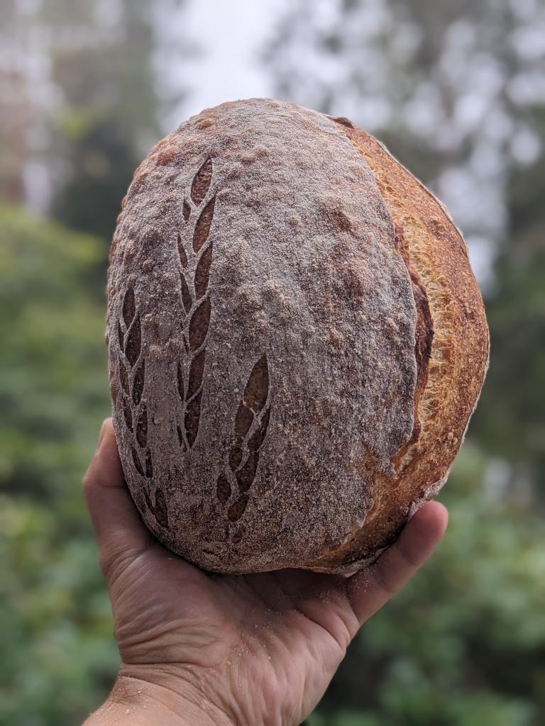 Artisan loaf of bread hold in a hand